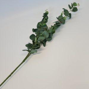 Eucalyptus Spray