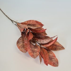 Croton Spray Orange