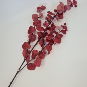 Eucalyptus Spray Large Red