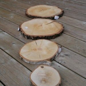 Birch Wood Slice