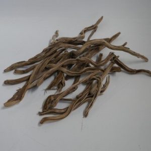 Rosemary Wood
