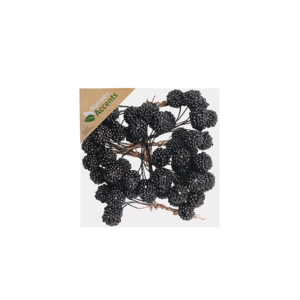 Blackberries Foam on Wire Black