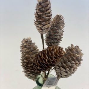 Pine Cone Pick